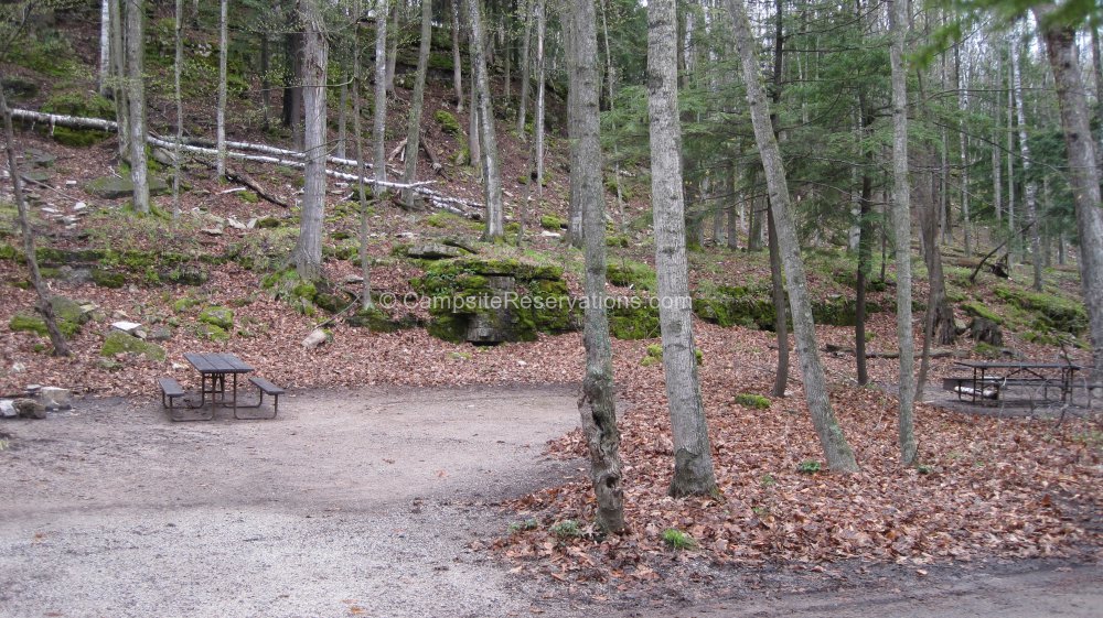 Photo of Campsite 42 in Daisy Field South Campground at Potawatomi